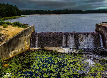 new-jersey/pine-barrens/attraction/bass-river-state-forest