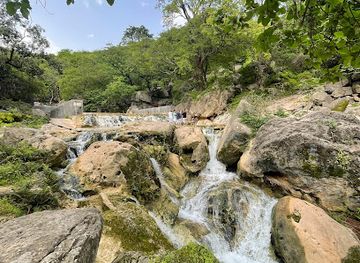 oman/mirbat/attraction/ain-hashir-wa-ashjar-altabladi