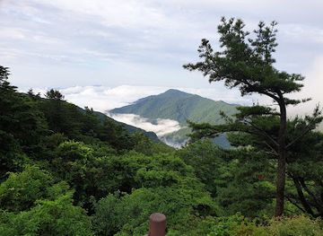 south-korea/jirisan-national-park/attraction/imgeollyeong