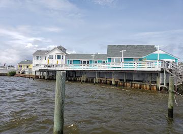 north-carolina/outer-banks/attraction/nags-head-dolphin-watch