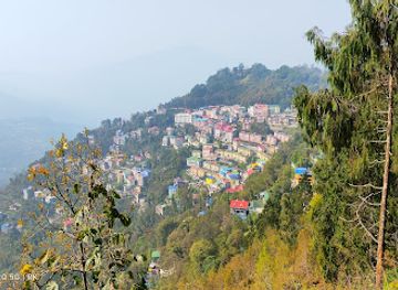 india/sikkim/attraction/organic-point