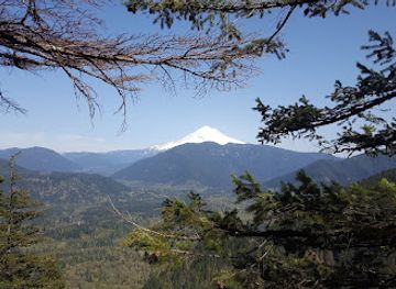 oregon/mt-hood-territory/attraction/salmon-huckleberry-wilderness