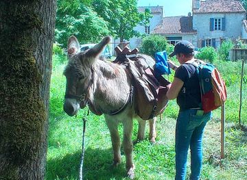 france/poitou-charentes/attraction/les-anes-de-la-reverie