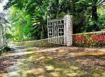 jamaica/savanna-la-mar/attraction/animal-farm-nature-reserve