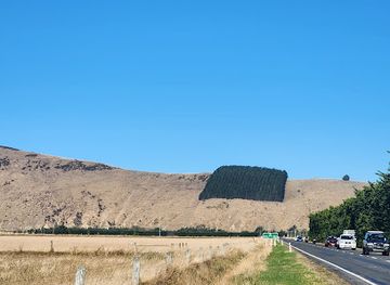 new-zealand/canterbury/attraction/that-damn-square