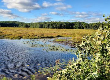 massachusetts/lowell/attraction/lowell-dracut-tyngsborough-state-forest