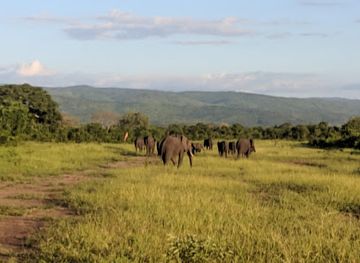 malawi/phalombe-plains/attraction/majete-wildlife-reserve
