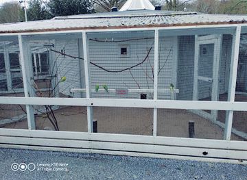 denmark/vejle/attraction/papegojehuset