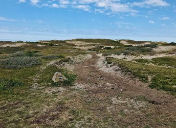 netherlands/dutch-coast/attraction/duingebied-bergen-aan-zee