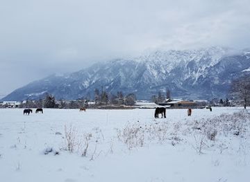 switzerland/eastern-switzerland/attraction/wasserfall-rietli