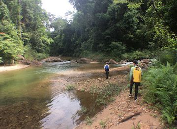 malaysia/taman-negara-national-park/attraction/kuala-lurut