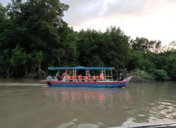 malaysia/penang/attraction/matang-mangrove-forest-park