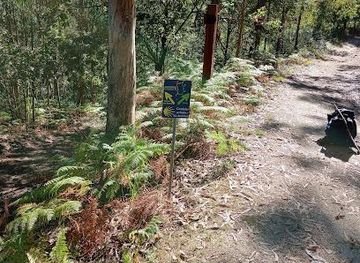 portugal/guimaraes/attraction/geira-romana-milha-xiv