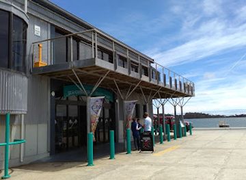 australia/far-west/attraction/seahorse-world