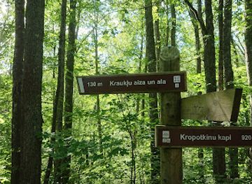 latvia/teici-nature-reserve/attraction/laima-clock