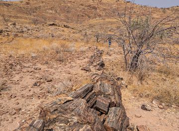 namibia/kaokoland/attraction/three-stages-petrified-forest