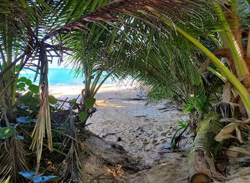 puerto-rico/manati/attraction/escondida-beach