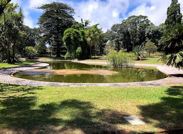 portugal/azores/attraction/jardim-botanico-jose-do-canto