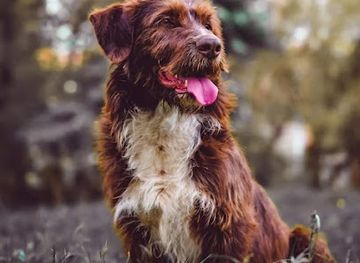 armenia/arpi-lake/attraction/dratkhar-aslan