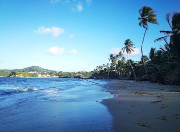 grenada/sauteurs/attraction/prospect-beach