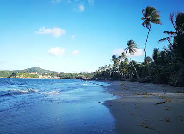 Prospect Beach