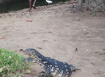 sri-lanka/polonnaruwa/attraction/kabara-bokkuwa