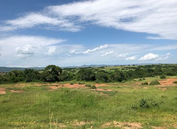 uganda/bunyoro/attraction/bugoma-central-forest-reserve