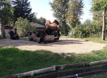 germany/vogtland/attraction/falkenstein-vogtl-zoo