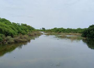 senegal/mbour/attraction/reserve-ecologique-experimentale-de-m-bour