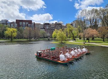 massachusetts/boston/attraction/swan-boats