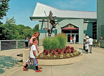 maryland/salisbury/attraction/the-ward-museum-of-wildfowl-art