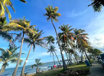 Playas de puerto rico