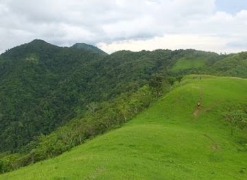 philippines/mimaropa/attraction/marinduque-wildlife-sanctuary