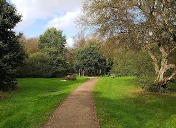 united-kingdom/cheshire/attraction/risley-moss