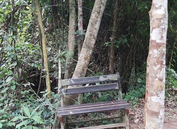 malaysia/taman-negara-national-park/attraction/bankje-kuala-tahan