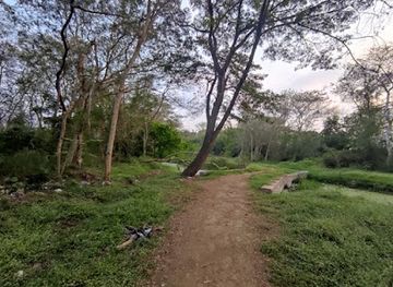 india/mysore/attraction/lingabudhi-forest-park-walk-area