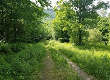 vermont/camel-s-hump-state-park/attraction/honey-hollow-trail
