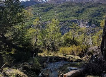 argentina/cerro-fitz-roy/attraction/salto-del-anillo