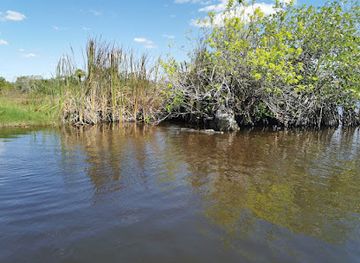florida/fakahatchee-strand-preserve-state-park/attraction/capt-mitchs-everglades-private-airboat-tours