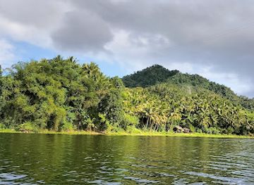 philippines/mimaropa/attraction/naujan-lake