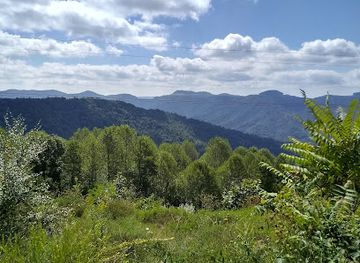 kentucky/knobs-region/attraction/black-mountain-off-road-park-black-mountain-thunder-zipline