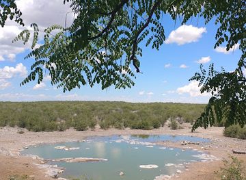 namibia/oshana/attraction/moringa-waterhole-viewpoint