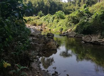 thailand/khao-sok-national-park/attraction/nam-talu-cave