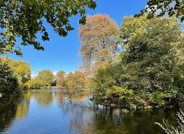 germany/essen/attraction/rombergpark-botanical-garden