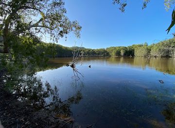 australia/northern-queensland/attraction/horseshoe-bay-lagoon-conservation-park