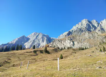 Birgkar