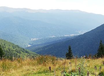 romania/bucegi-mountains/attraction/poiana-izvoarelor