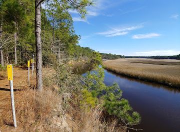 south-carolina/congaree-national-park/attraction/francis-marion-national-forest
