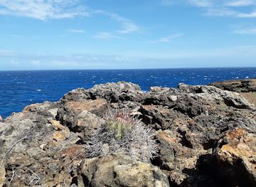 aruba/natural-pool/attraction/colorado-point-scenic-lookout
