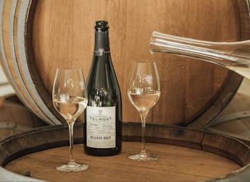 france/reims/attraction/champagne-telmont